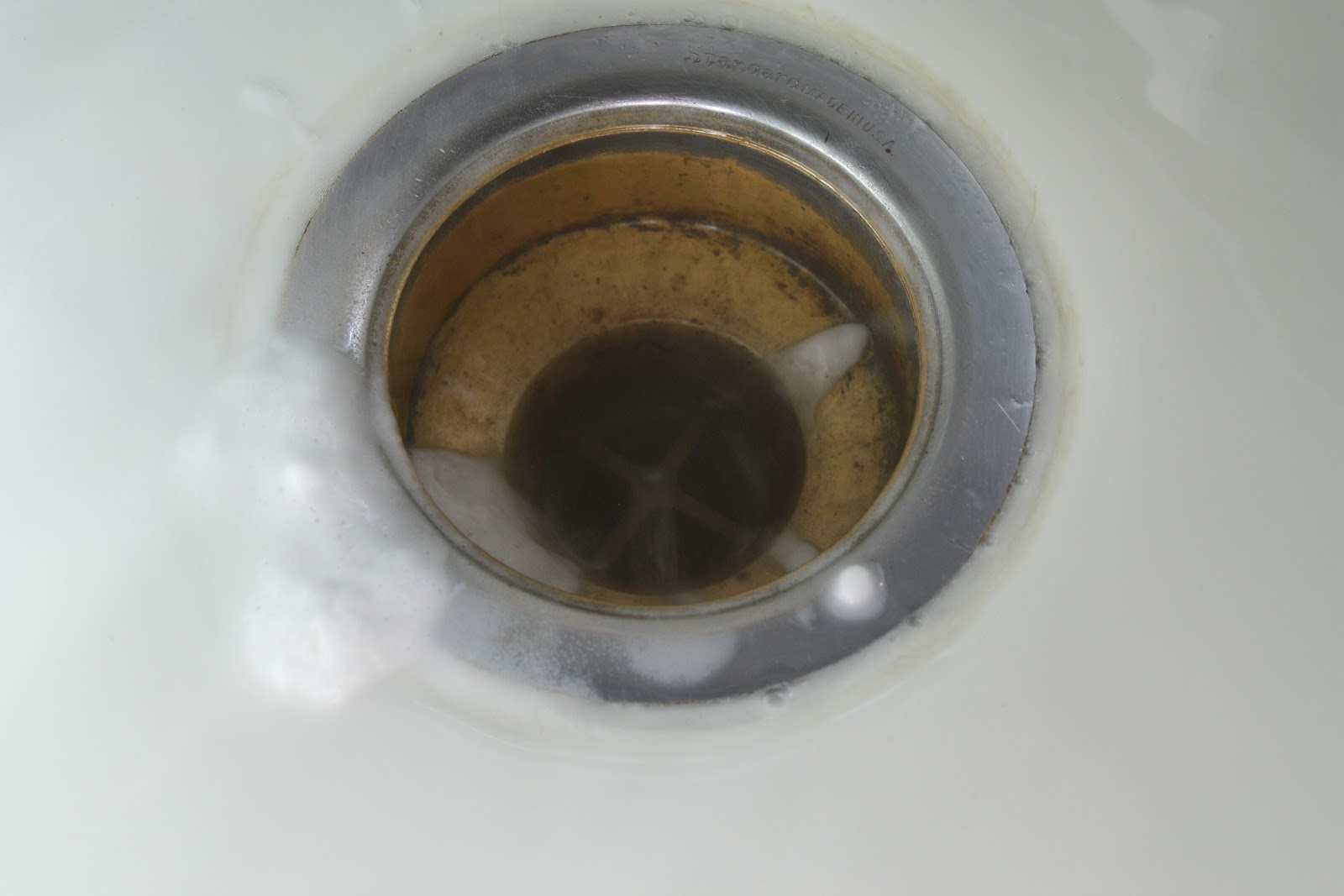 Sunny Simple Life Freshen and Clean Drains the Natural Way